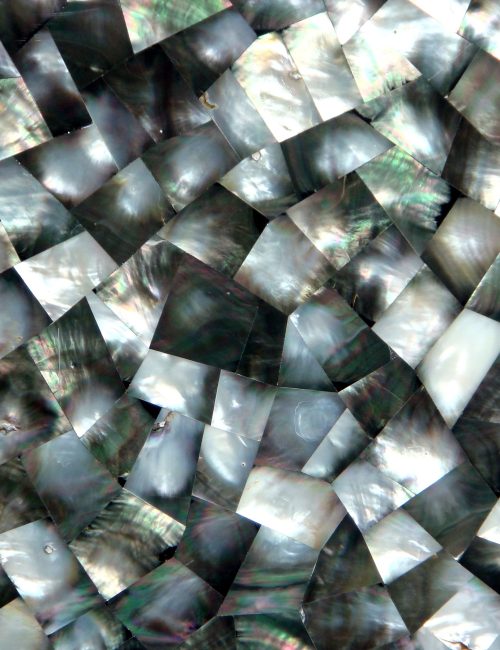 Black Mother Of Pearl