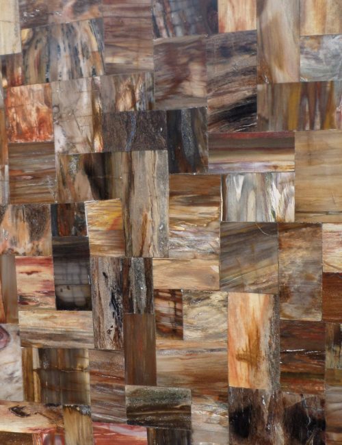 Petrified Wood