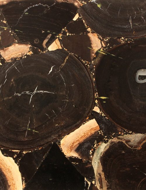 Portro Petrified Wood
