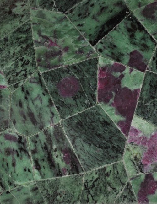 Ruby Zoisite
