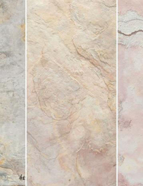 Sanjayani White